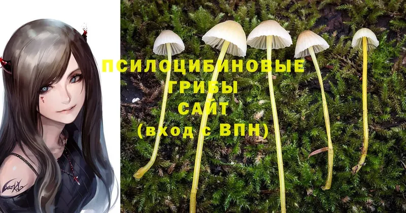 Галлюциногенные грибы Magic Shrooms  Сибай 